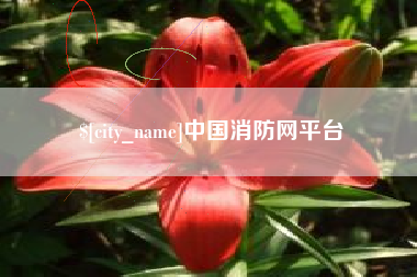 山东中国消防网平台