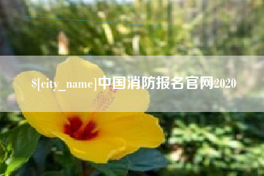 山东中国消防报名官网2020