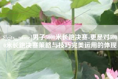 山东男子5000米长跑决赛-更是对5000米长跑决赛策略与技巧完美运用的体现