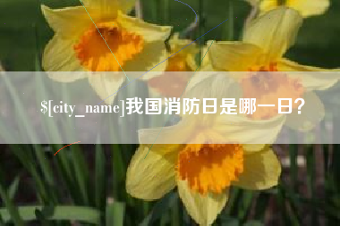 山东我国消防日是哪一日？