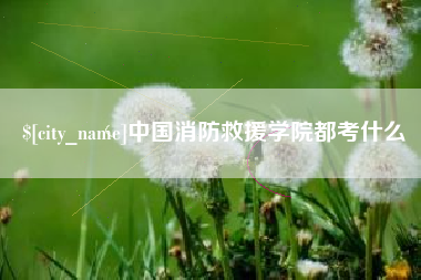 山东中国消防救援学院都考什么