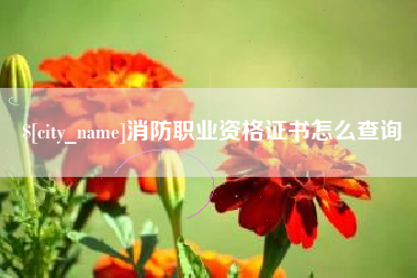 山东消防职业资格证书怎么查询