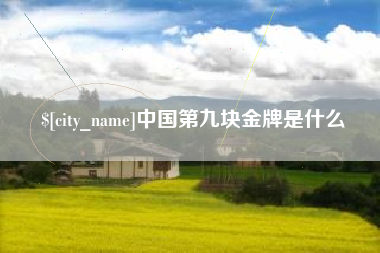山东中国第九块金牌是什么