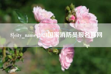 山东2021国家消防员报名官网