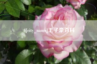 山东王子豪百科