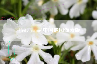 山东中国地图像素版