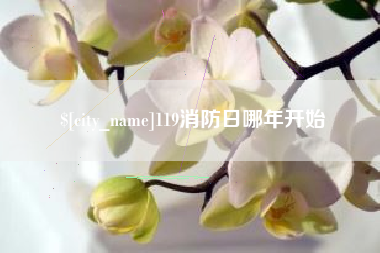 山东119消防日哪年开始