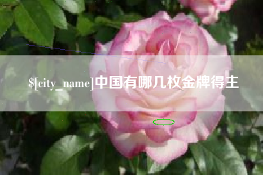 山东中国有哪几枚金牌得主