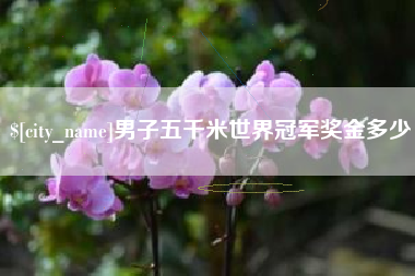 山东男子五千米世界冠军奖金多少