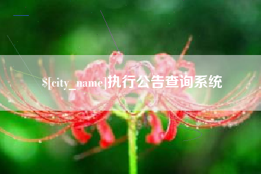 山东执行公告查询系统