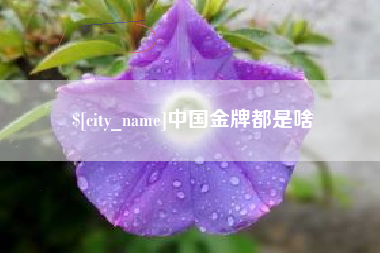 山东中国金牌都是啥