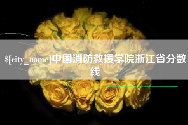 山东中国消防救援学院浙江省分数线