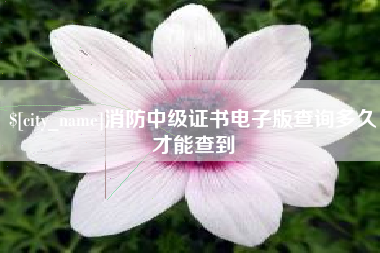山东消防中级证书电子版查询多久才能查到