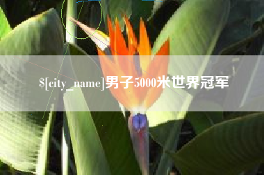 山东男子5000米世界冠军