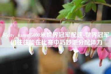 山东5000米世界冠军配速-世界冠军们往往能在比赛中巧妙地分配体力