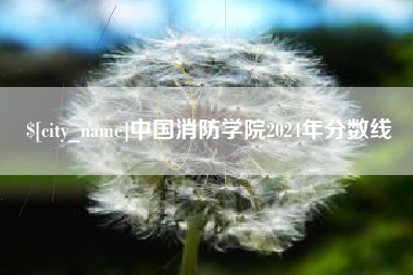 山东中国消防学院2024年分数线