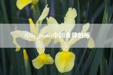 山东中国金牌包括