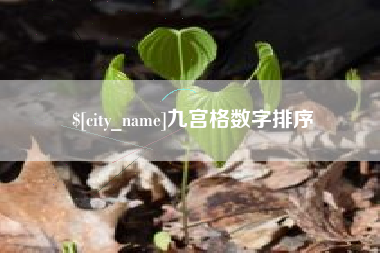 山东九宫格数字排序