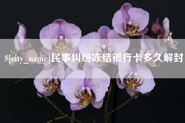 山东民事纠纷冻结银行卡多久解封