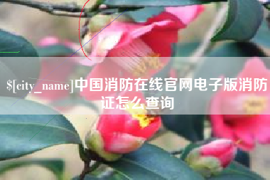 山东中国消防在线官网电子版消防证怎么查询