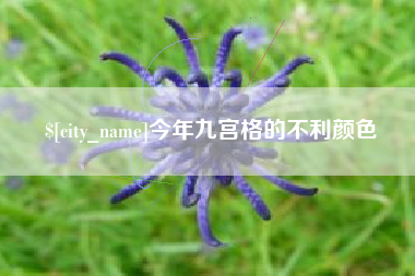 山东今年九宫格的不利颜色