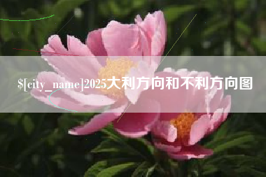 山东2025大利方向和不利方向图