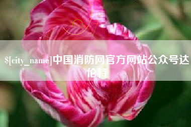 山东中国消防网官方网站公众号达伦特