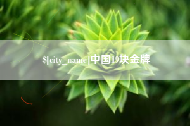 山东中国19块金牌