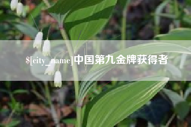 山东中国第九金牌获得者