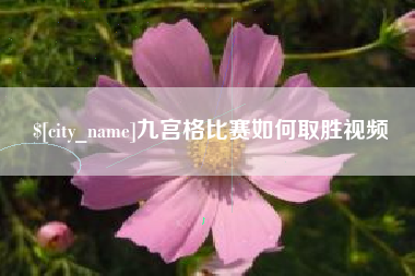 山东九宫格比赛如何取胜视频