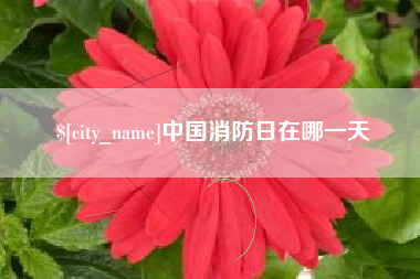 山东中国消防日在哪一天