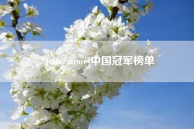 山东中国冠军榜单