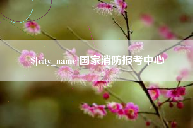 山东国家消防报考中心