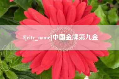 山东中国金牌第九金