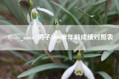 山东男子5000米年龄成绩对照表