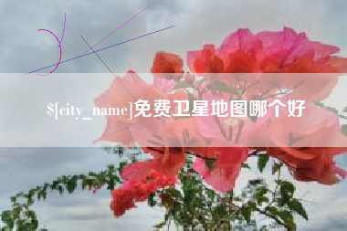 山东免费卫星地图哪个好