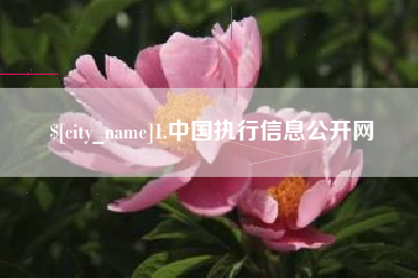 山东1.中国执行信息公开网