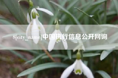 山东中国执行信息公开网询