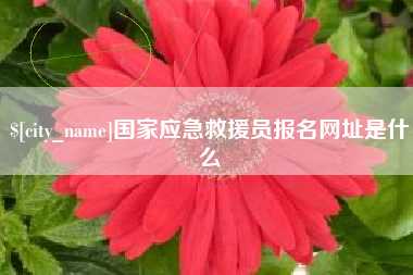 山东国家应急救援员报名网址是什么