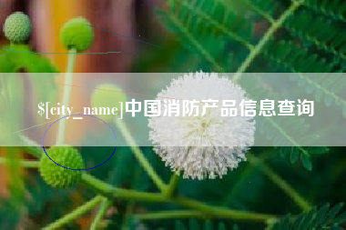 山东中国消防产品信息查询