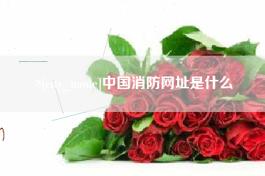 山东中国消防网址是什么
