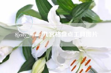 山东九宫格盘点工具图片
