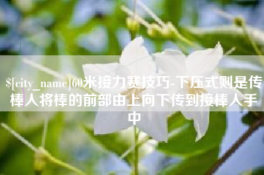 山东60米接力赛技巧-下压式则是传棒人将棒的前部由上向下传到接棒人手中