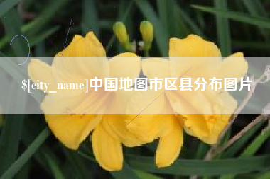 山东中国地图市区县分布图片