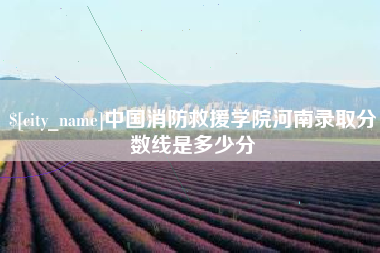 山东中国消防救援学院河南录取分数线是多少分