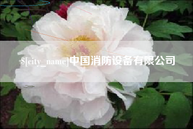 山东中国消防设备有限公司