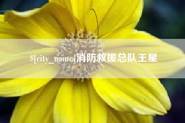 山东消防救援总队王星