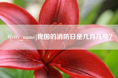 山东我国的消防日是几月几号？