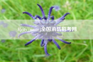 山东全国消防招考网