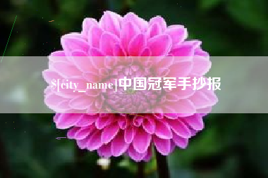 山东中国冠军手抄报
